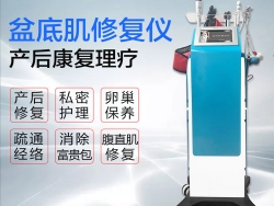 盆底肌修複儀多(duō)少錢一台