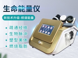 美容院小(xiǎo)型減肥儀器推薦